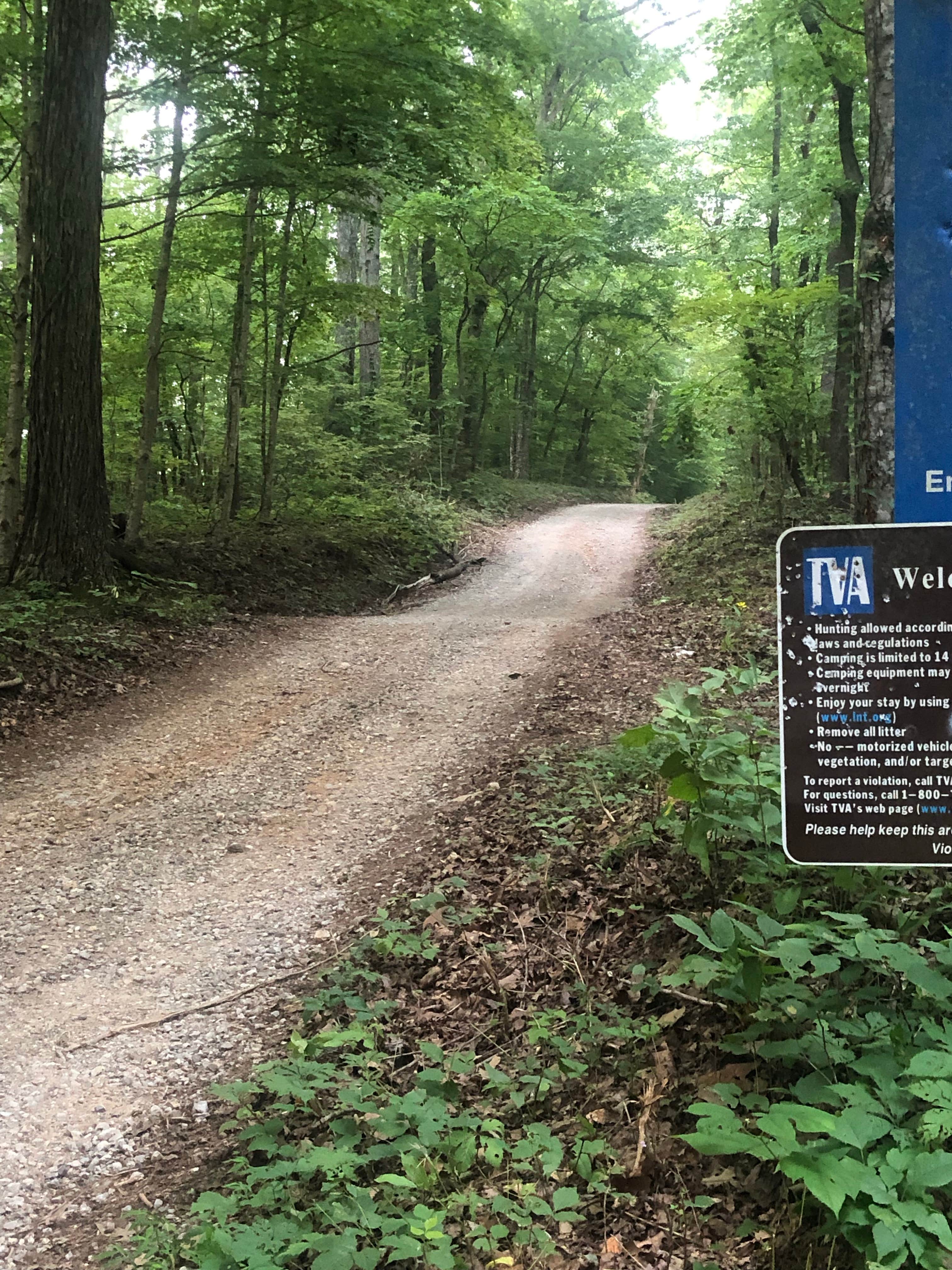 Camper submitted image from TVA Public Land- Fork Bend - 2