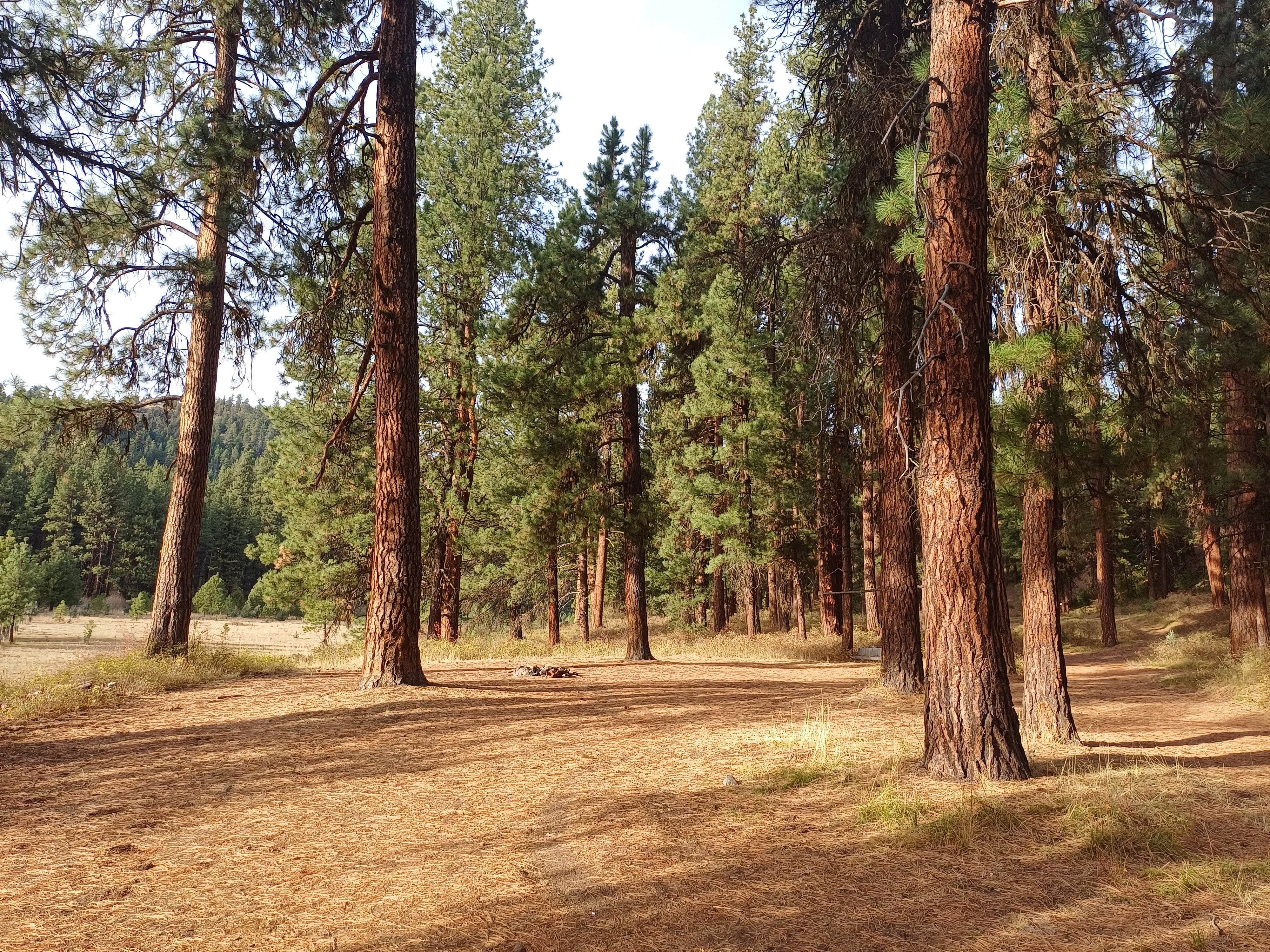 Camper-submitted photo at Little Hay Creek Rd Dispersed near Dayville, OR