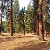 Review photo of Little Hay Creek Rd Dispersed by Laura M., June 30, 2025