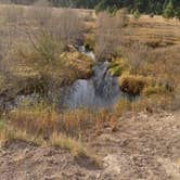 Review photo of Little Hay Creek Rd Dispersed by Laura M., June 30, 2025