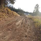 Review photo of Little Hay Creek Rd Dispersed by Laura M., June 30, 2025