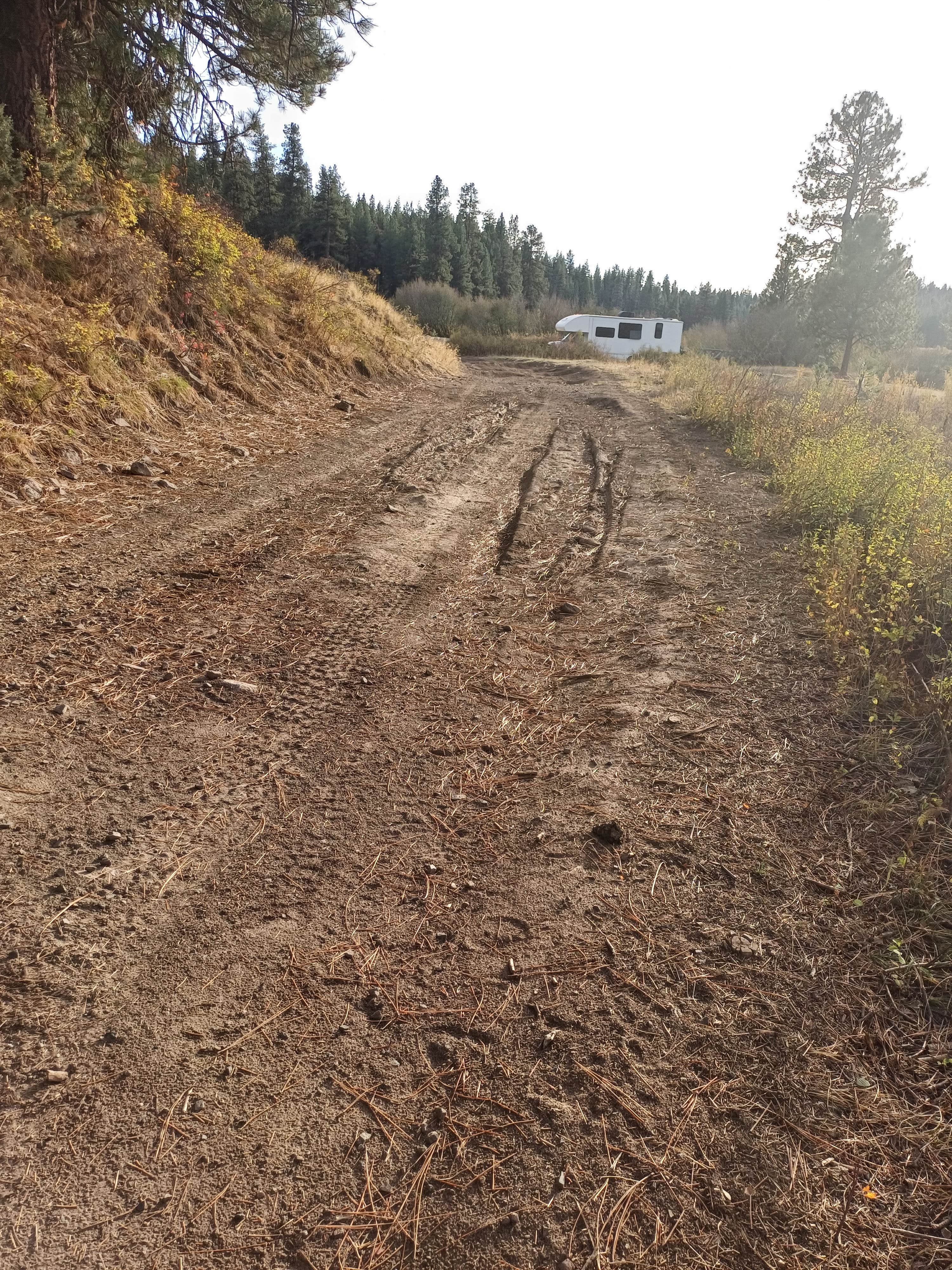 Camper submitted image from Little Hay Creek Rd Dispersed - 2