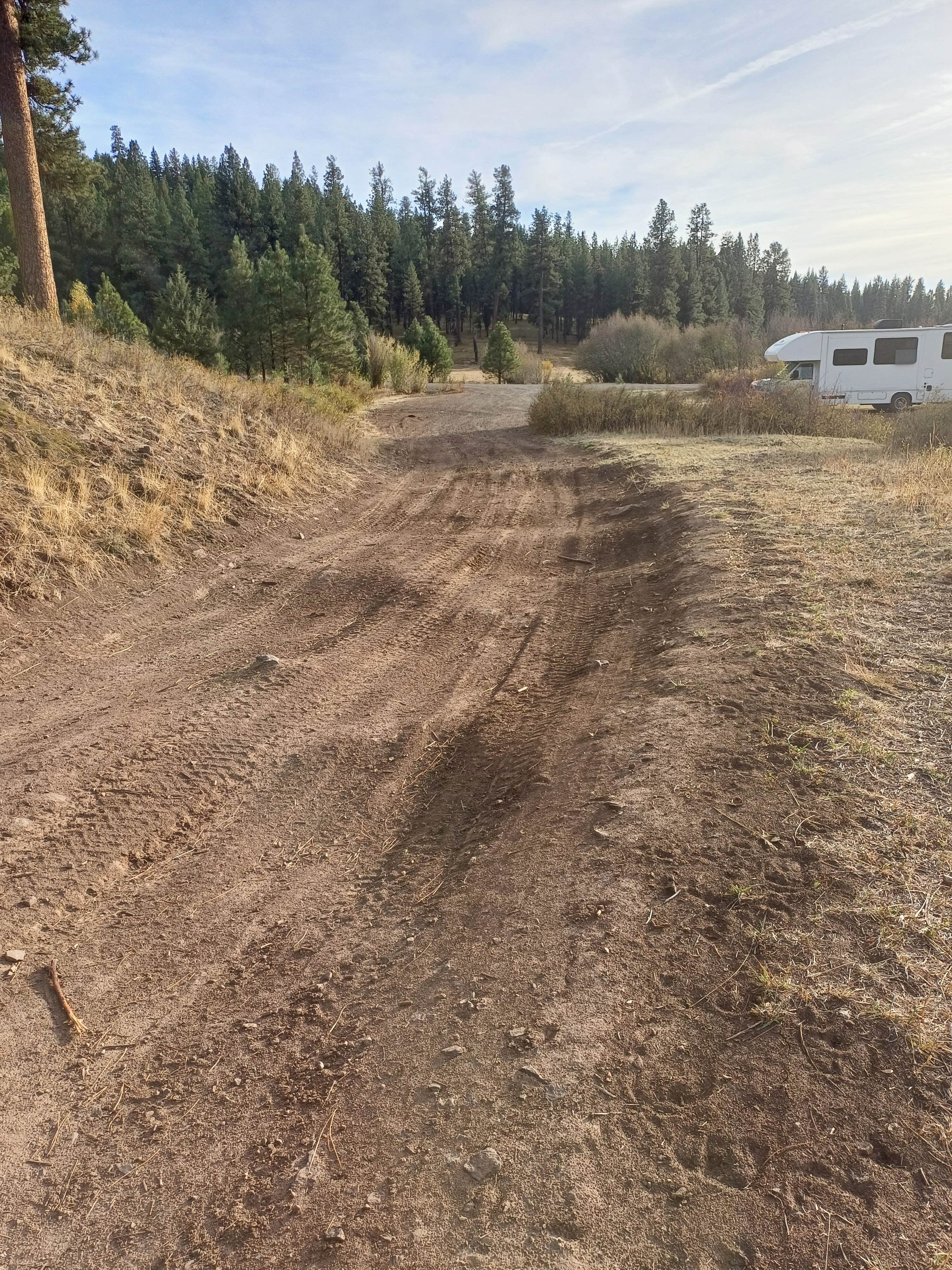 Camper submitted image from Little Hay Creek Rd Dispersed - 4