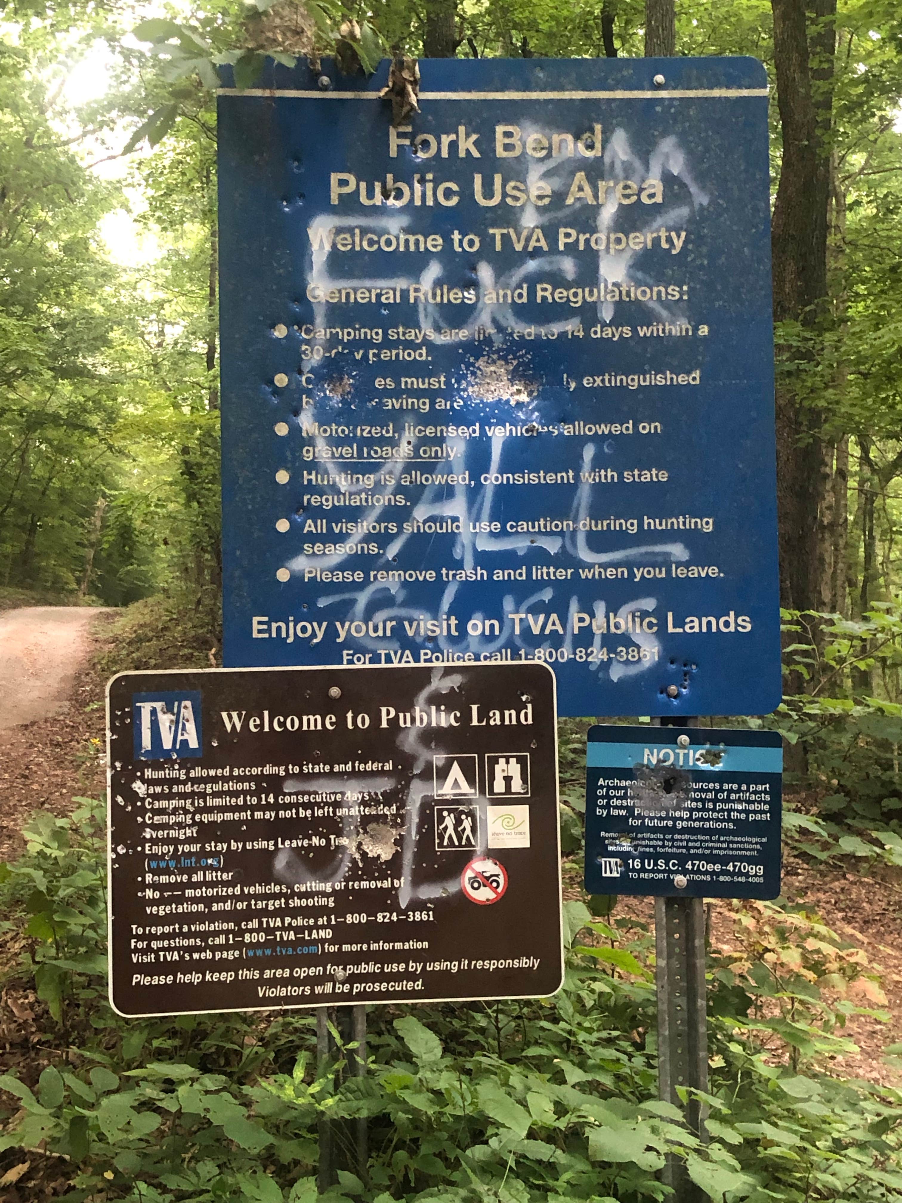 Camper submitted image from TVA Public Land- Fork Bend - 5