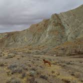 Review photo of Owl Canyon Campground by Laura M., July 1, 2025