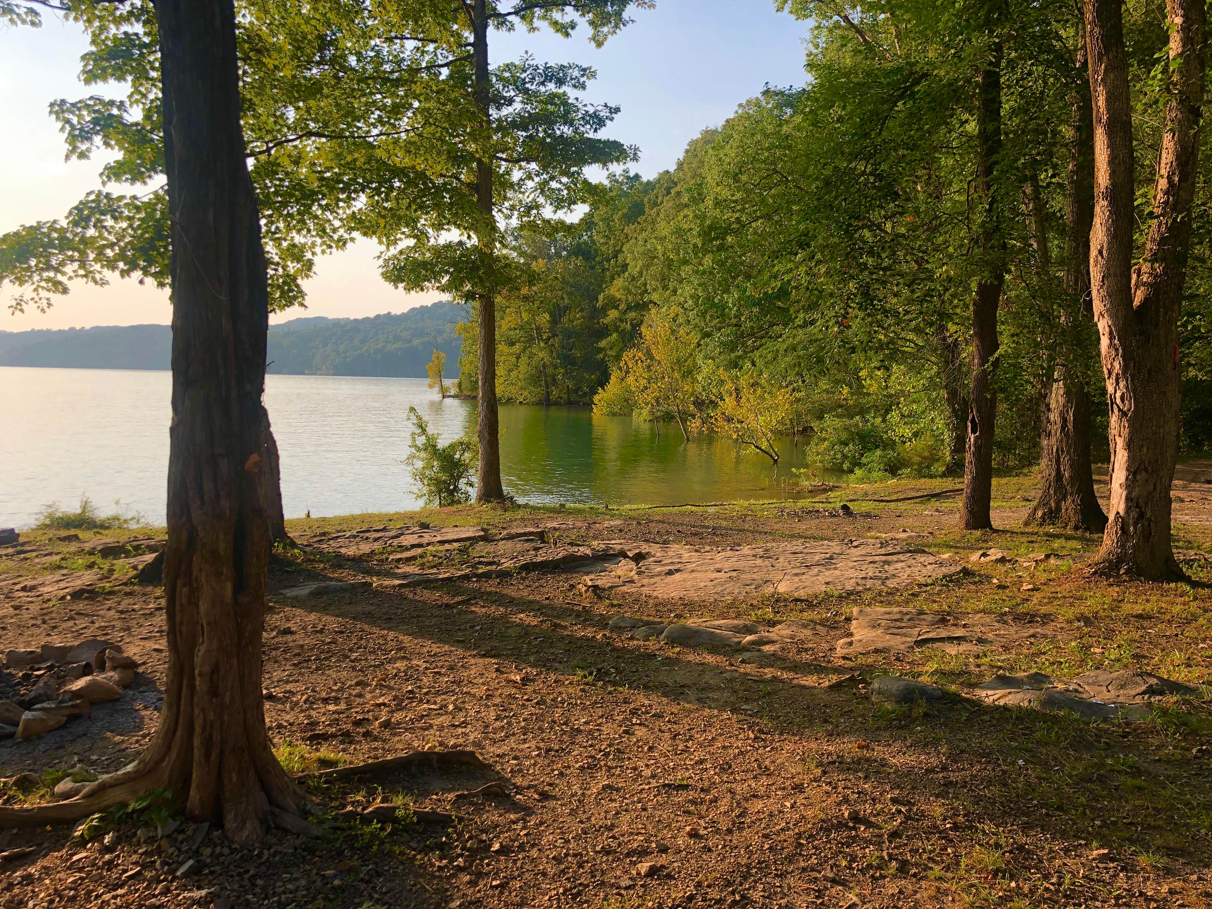 Camper-submitted photo at TVA Public Land- Fork Bend near Rutledge, TN