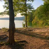 Review photo of TVA Public Land- Fork Bend by Lori H., July 29, 2019