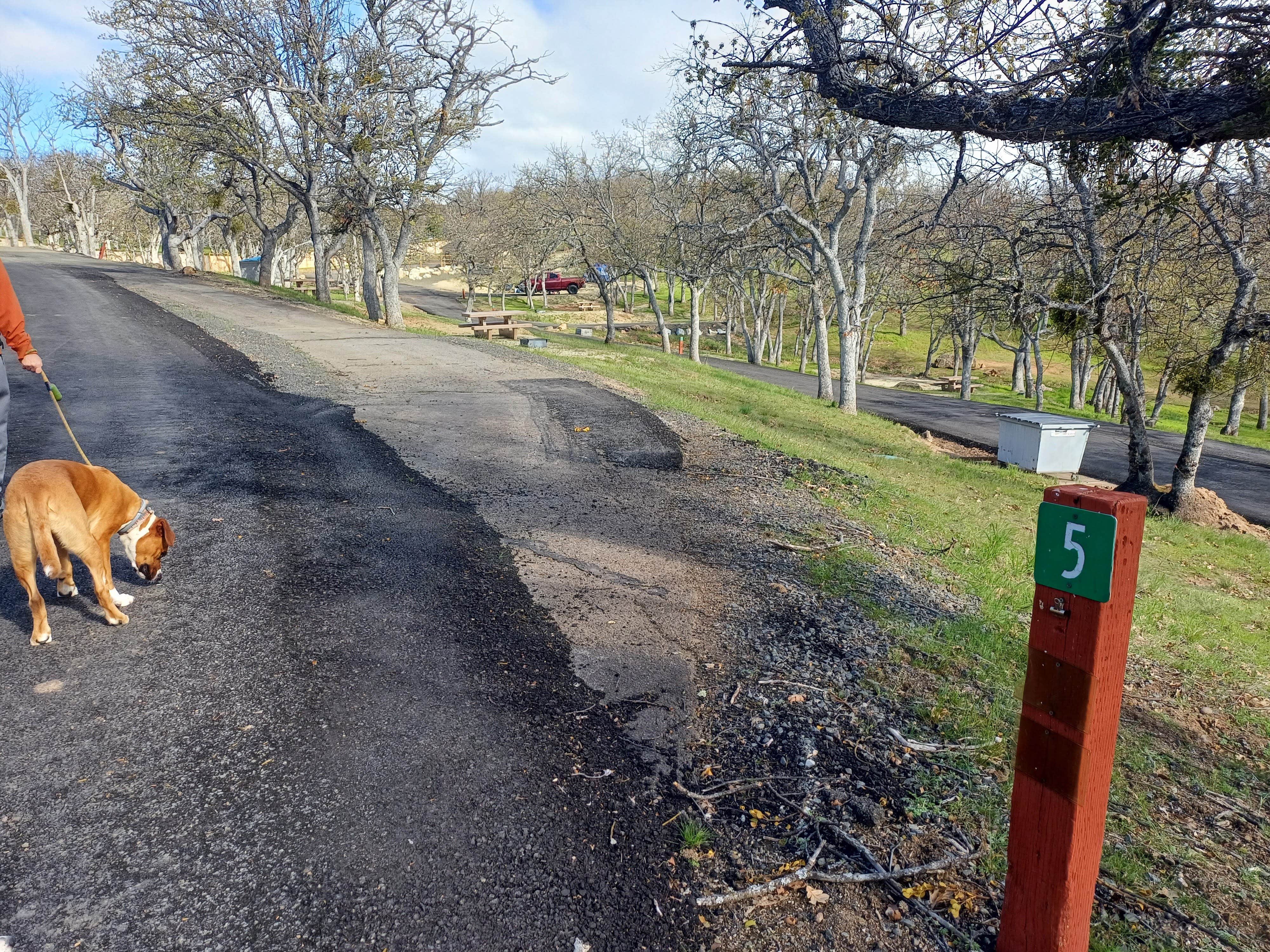 Laura M.'s photo of camping with pets at Emigrant Lake Recreation Area - Oak Slope Campground near Phoenix, OR