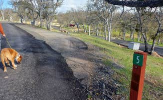 Laura M.'s photo of camping with pets at Emigrant Lake Recreation Area - Oak Slope Campground near Central Point, OR