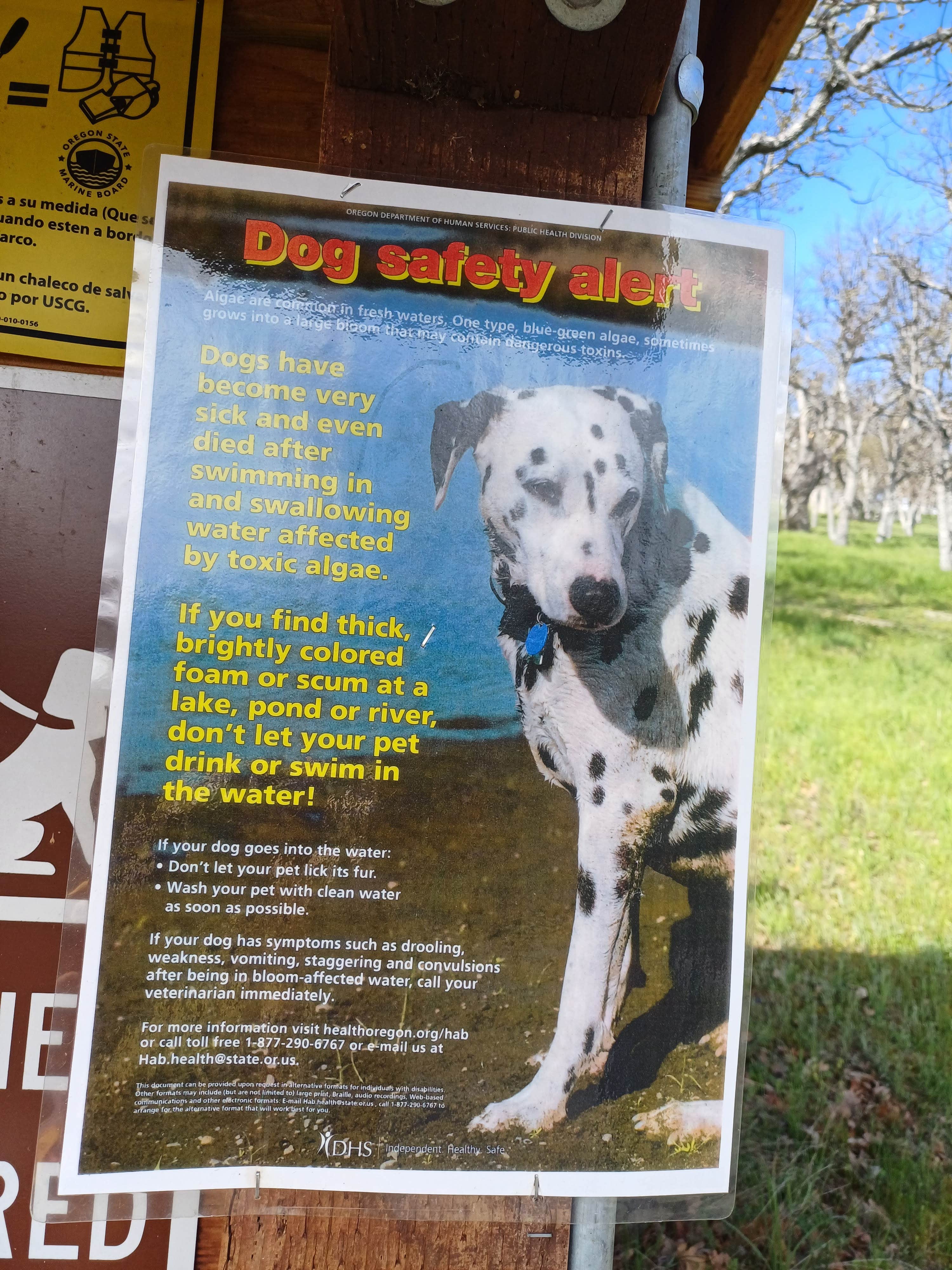 Laura M.'s photo of camping with pets at Emigrant Lake Recreation Area - Oak Slope Campground near Central Point, OR