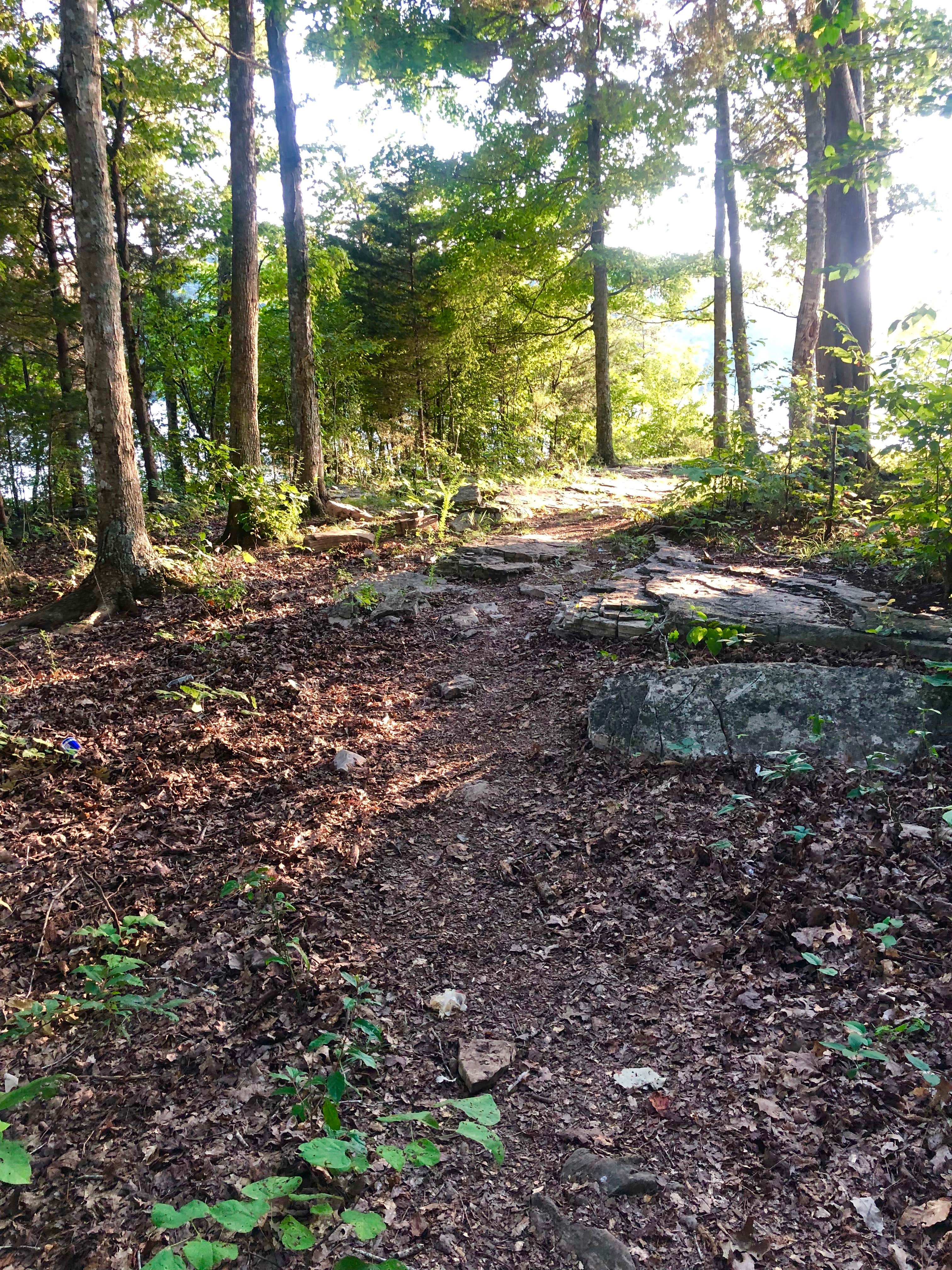 Camper-submitted photo at TVA Public Land- Fork Bend near Rutledge, TN