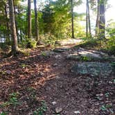 Review photo of TVA Public Land- Fork Bend by Lori H., July 29, 2019