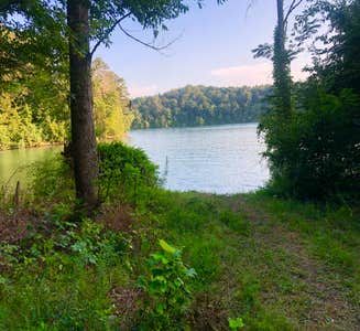 Camper-submitted photo from TVA Public Land- Fork Bend 
