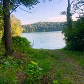 Review photo of TVA Public Land- Fork Bend by Lori H., July 29, 2019