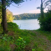 Review photo of TVA Public Land- Fork Bend  by Lori H., July 29, 2019