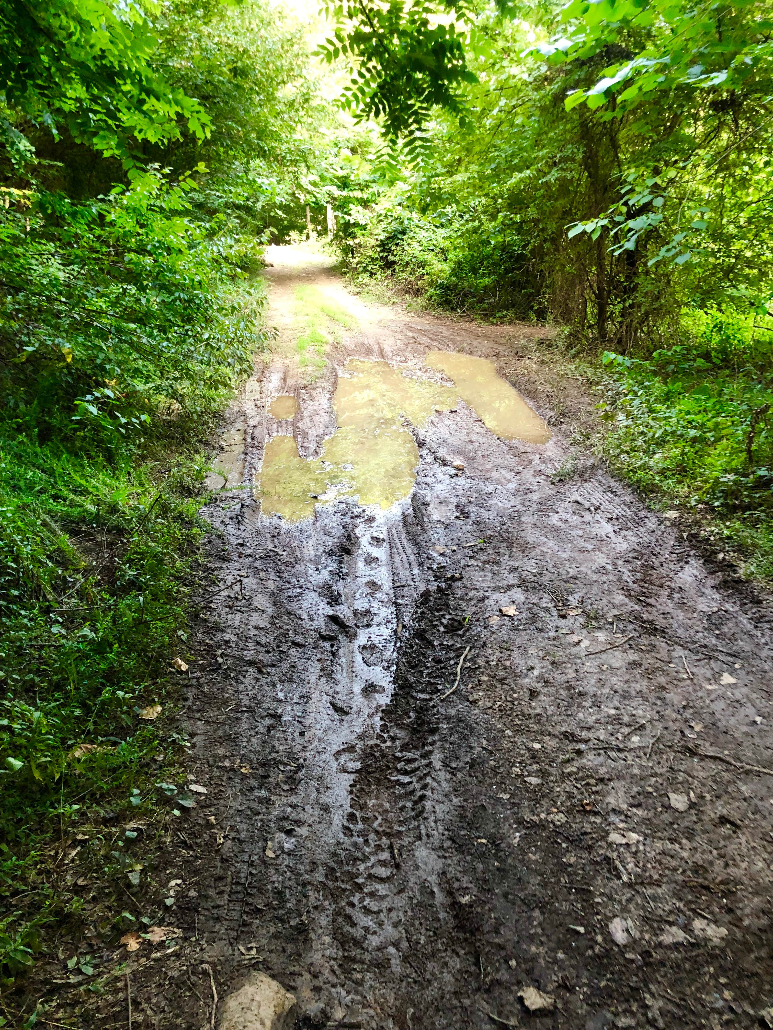 Camper-submitted photo at TVA Public Land- Fork Bend near Corryton, TN