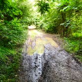 Review photo of TVA Public Land- Fork Bend by Lori H., July 29, 2019