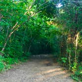 Review photo of TVA Public Land- Fork Bend by Lori H., July 29, 2019