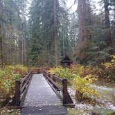 Review photo of Silver Falls State Park Campground by Laura M., July 1, 2025