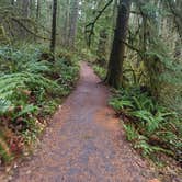 Review photo of Silver Falls State Park Campground by Laura M., July 1, 2025