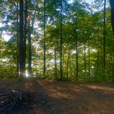 Review photo of TVA Public Land- Fork Bend by Lori H., July 29, 2019