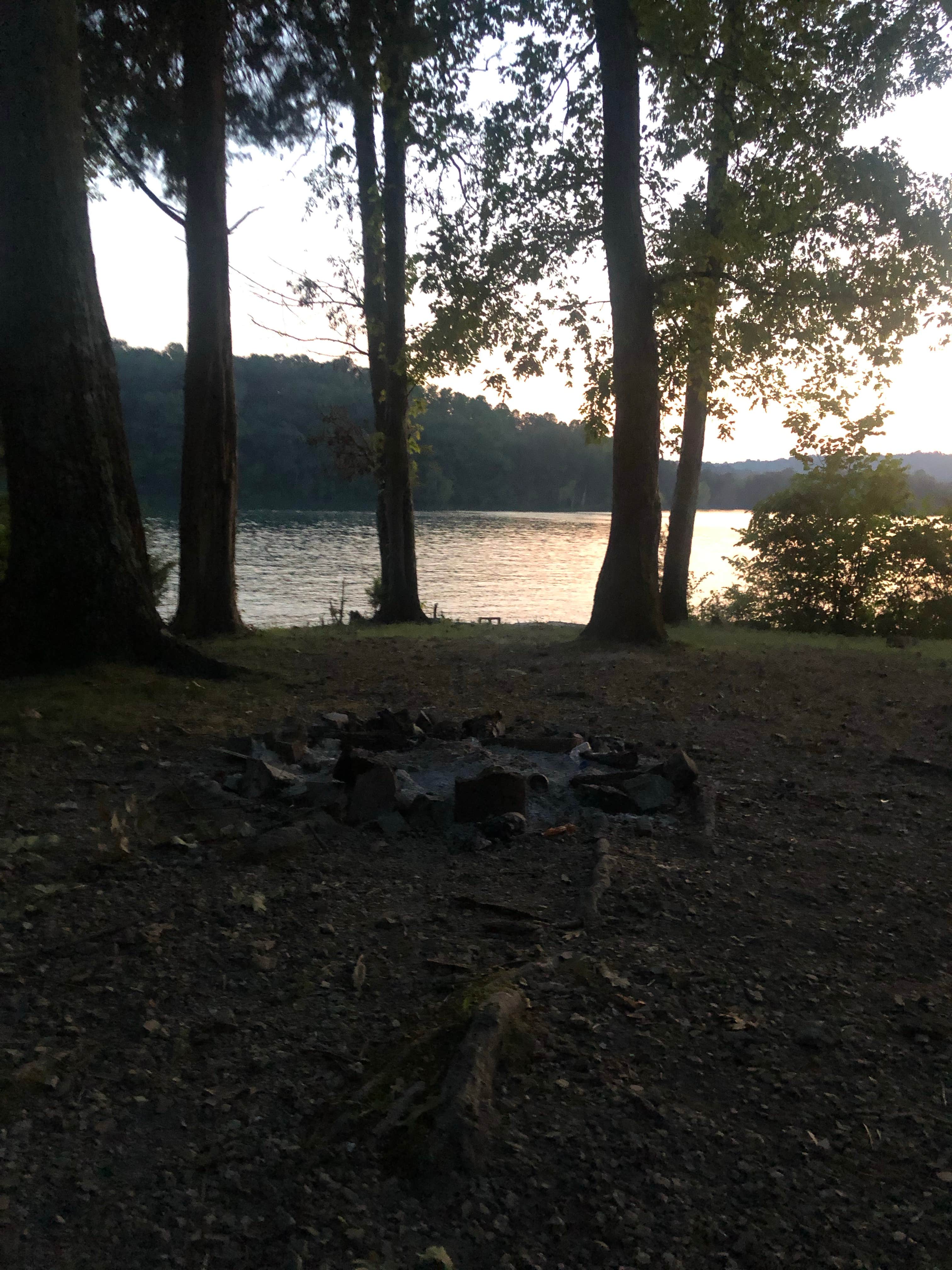 Lori H.'s photo at TVA Public Land- Fork Bend near Lake City, TN