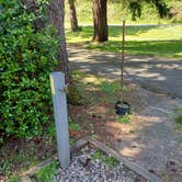 Review photo of Humbug Mountain State Park Campground by Laura M., July 1, 2025