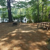 Review photo of Pawtuckaway State Park Campground by Ryan M., July 29, 2019