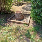 Review photo of Humbug Mountain State Park Campground by Laura M., July 1, 2025