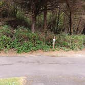 Review photo of Tillicum Beach Campground by Laura M., July 1, 2025