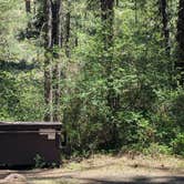 Review photo of Pine Rest Campground by Laura M., July 1, 2025