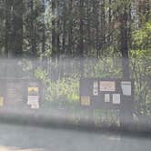 Review photo of Pine Rest Campground by Laura M., July 1, 2025