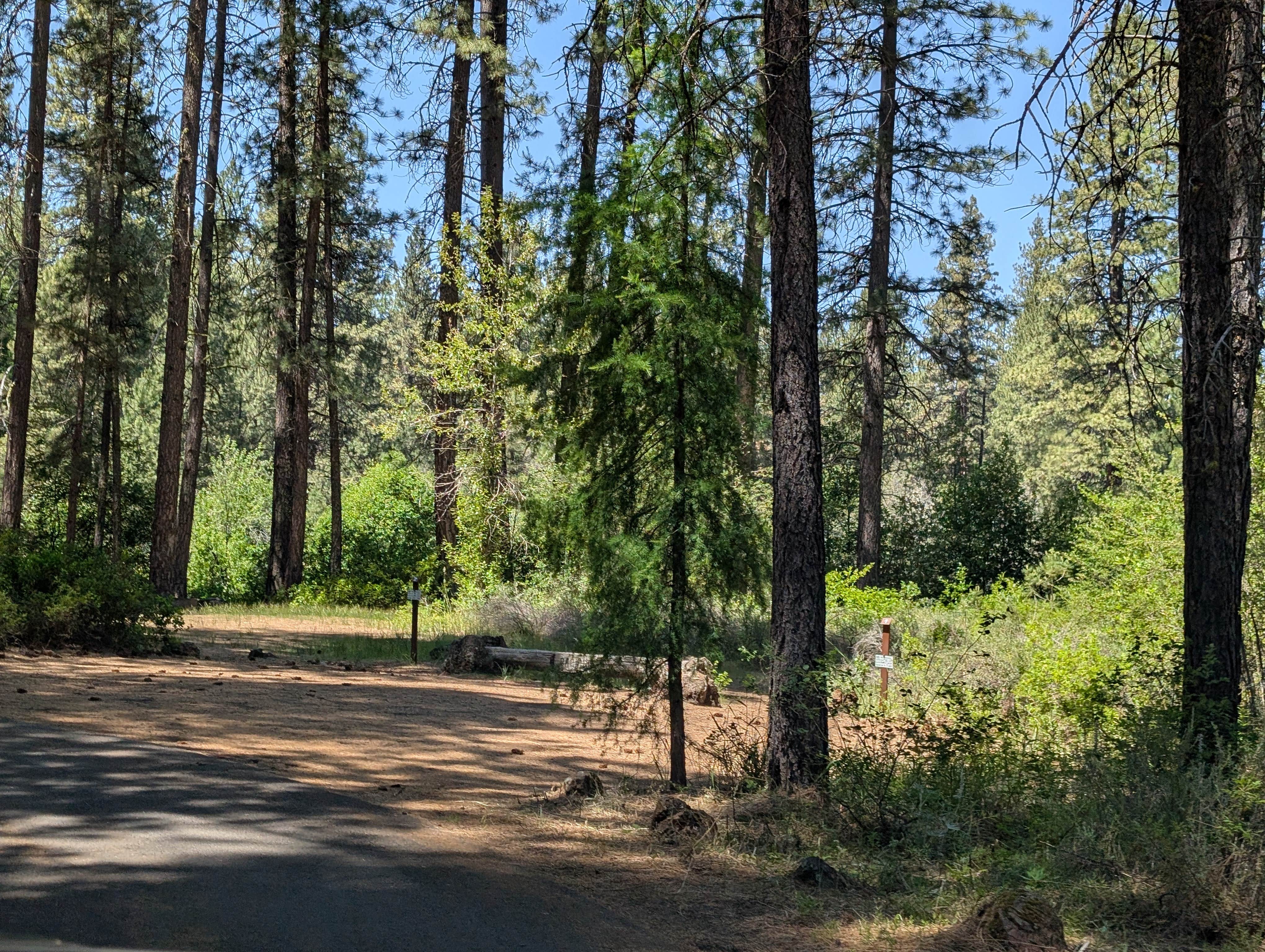 Camper submitted image from Pine Rest Campground - 5