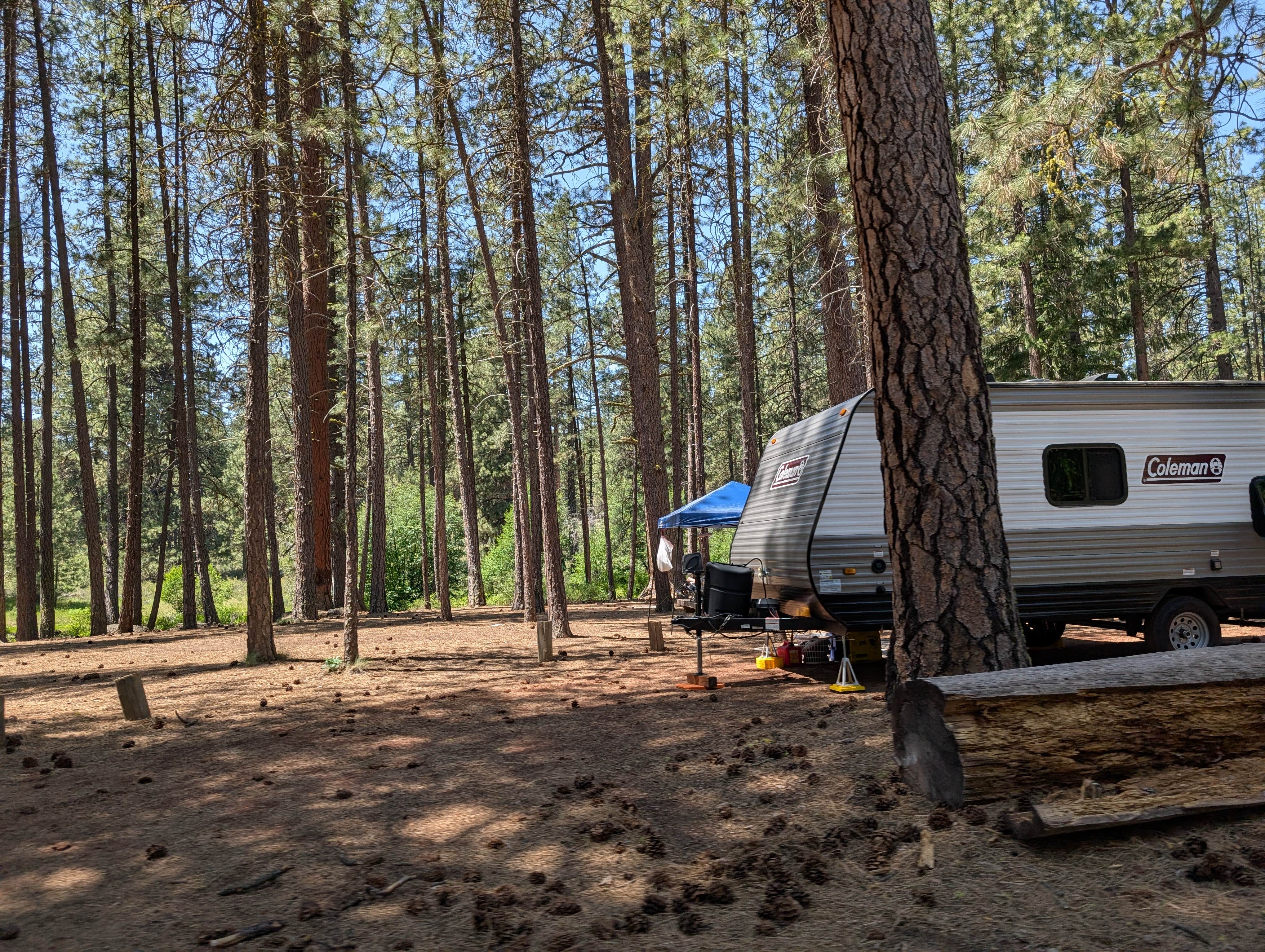 Laura M.'s photo at Smiling River Campground near Camp Sherman, OR