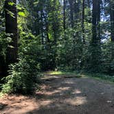 Review photo of Belfair State Park Campground by Tom K., July 29, 2019