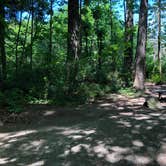 Review photo of Belfair State Park Campground by Tom K., July 29, 2019