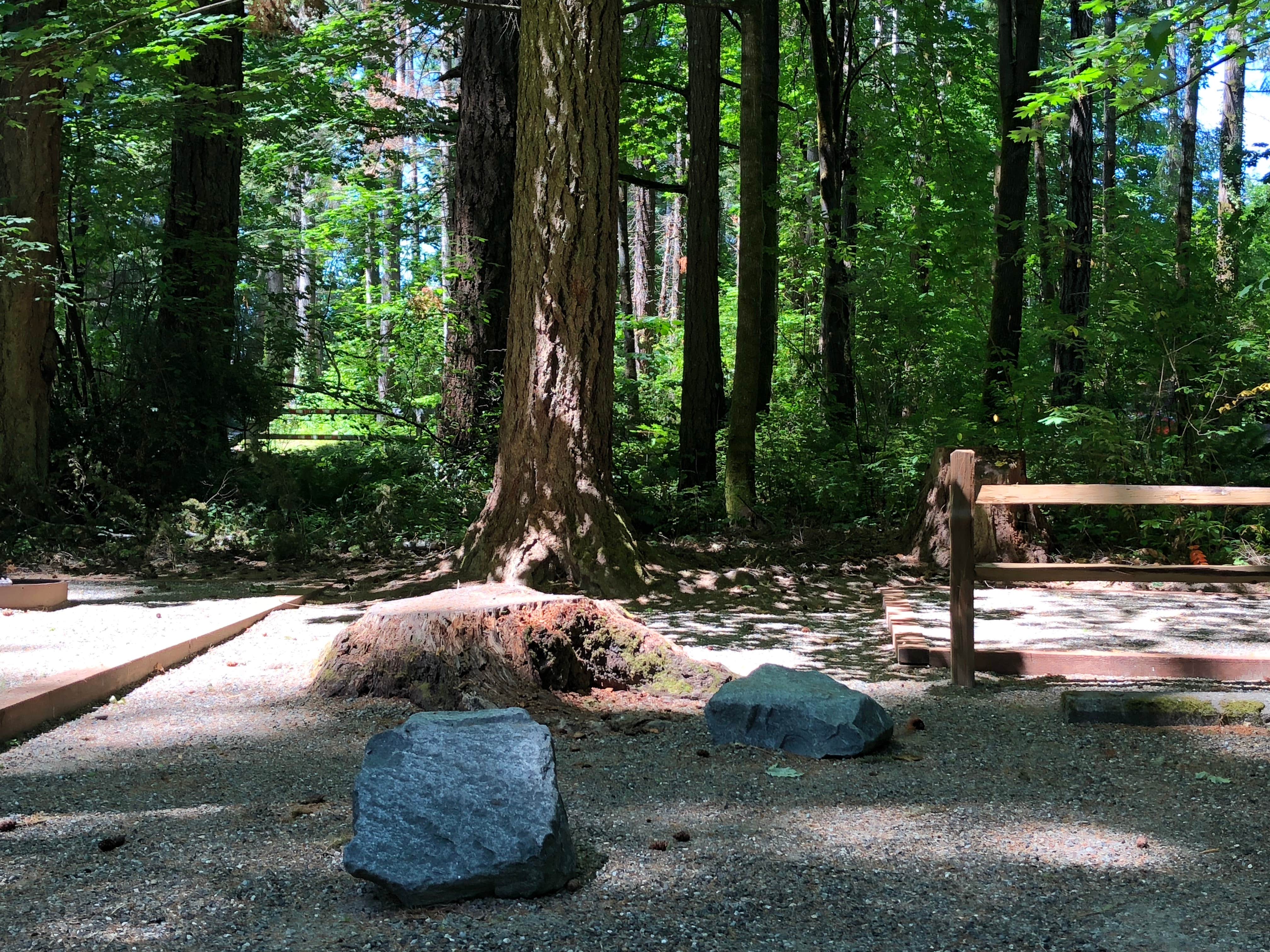 Camper-submitted photo at Belfair State Park Campground near Mercer Island, WA