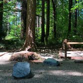 Review photo of Belfair State Park Campground by Tom K., July 29, 2019