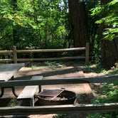 Review photo of Belfair State Park Campground by Tom K., July 29, 2019