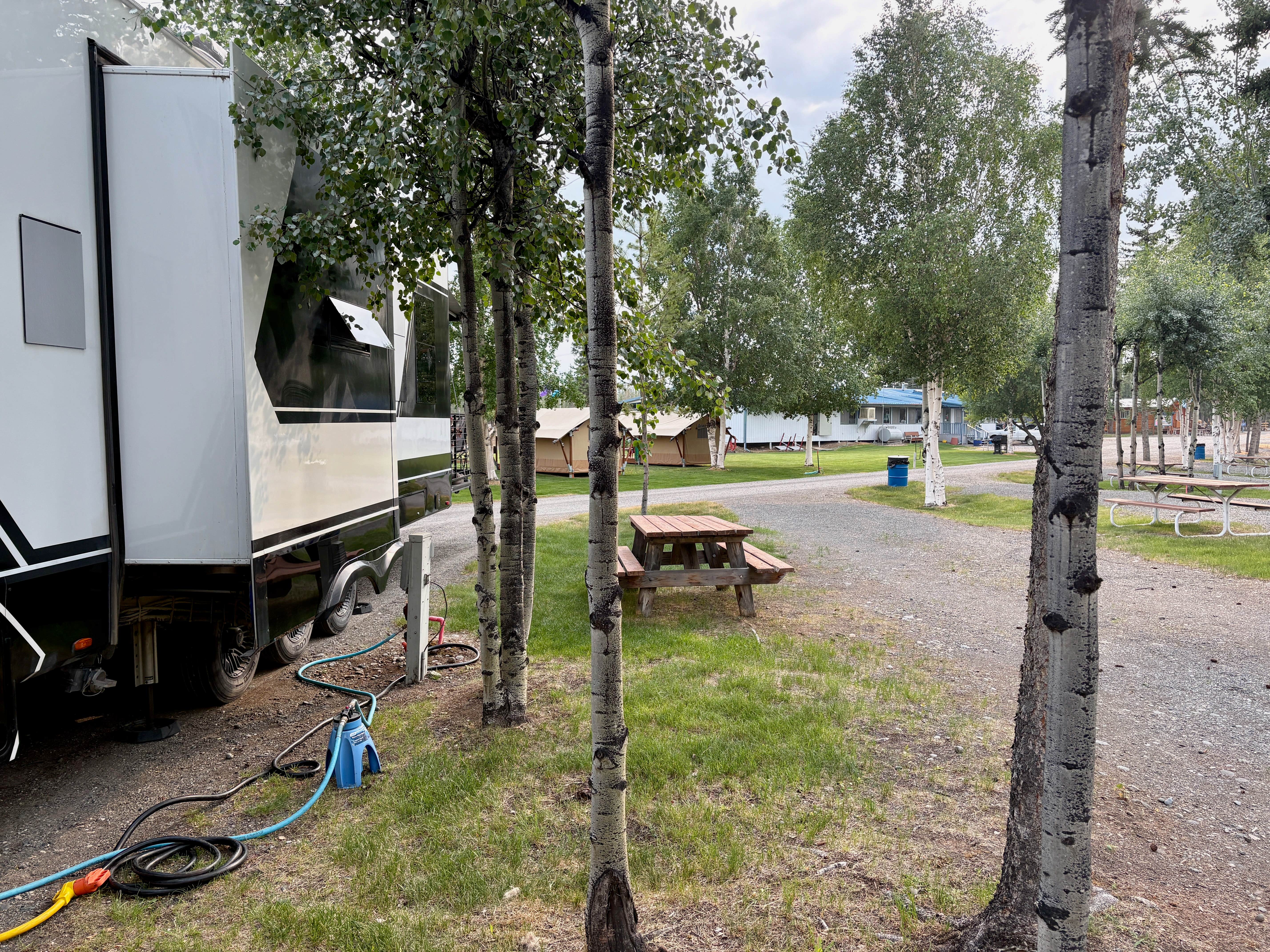 Camper-submitted photo at Tok RV Village campground & Cabins near Tanacross, AK