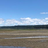 Review photo of Belfair State Park Campground by Tom K., July 29, 2019