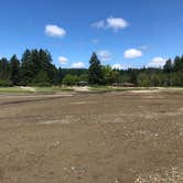 Review photo of Belfair State Park Campground by Tom K., July 29, 2019