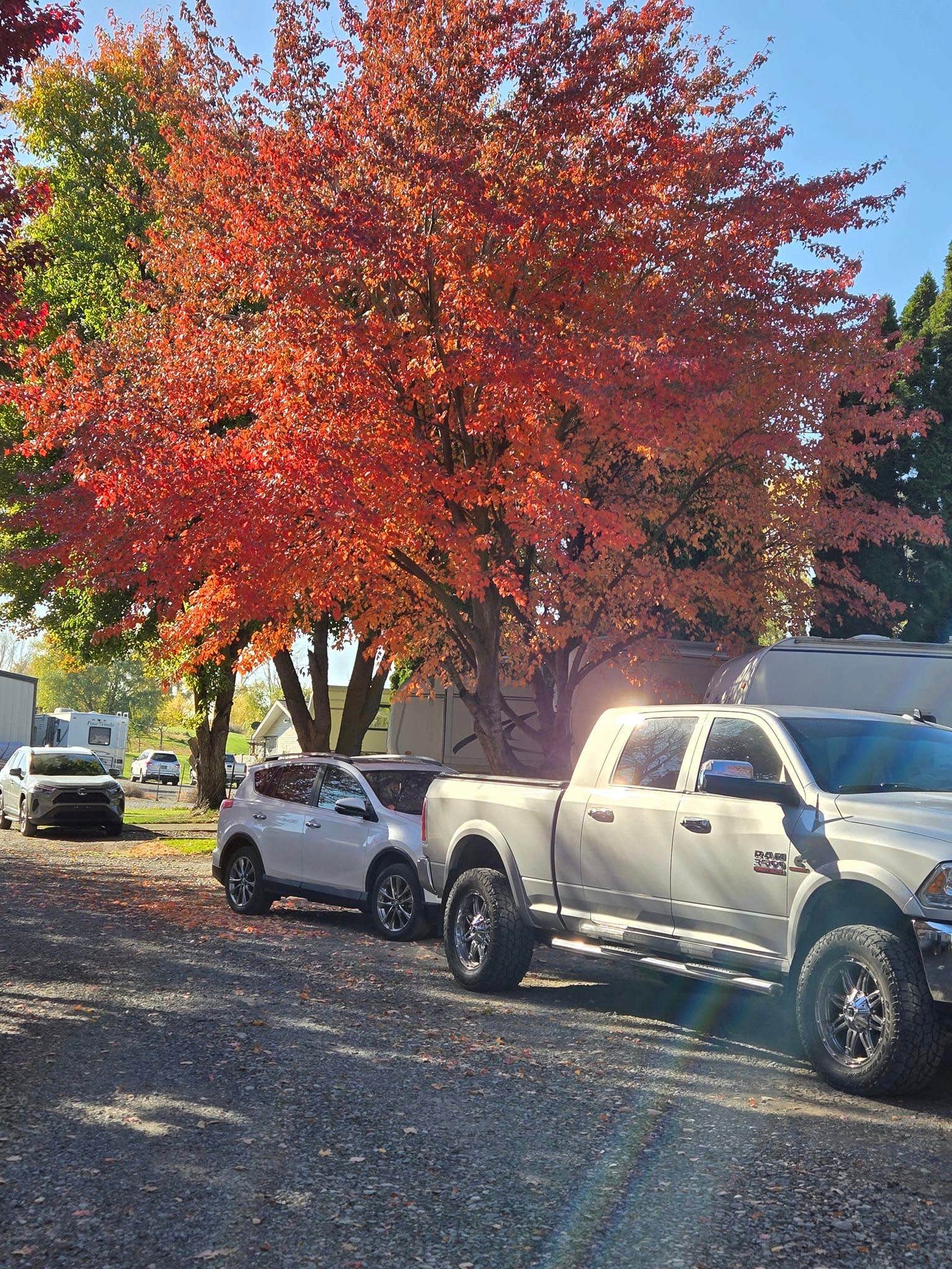Camper submitted image from Oasis RV Park - 1