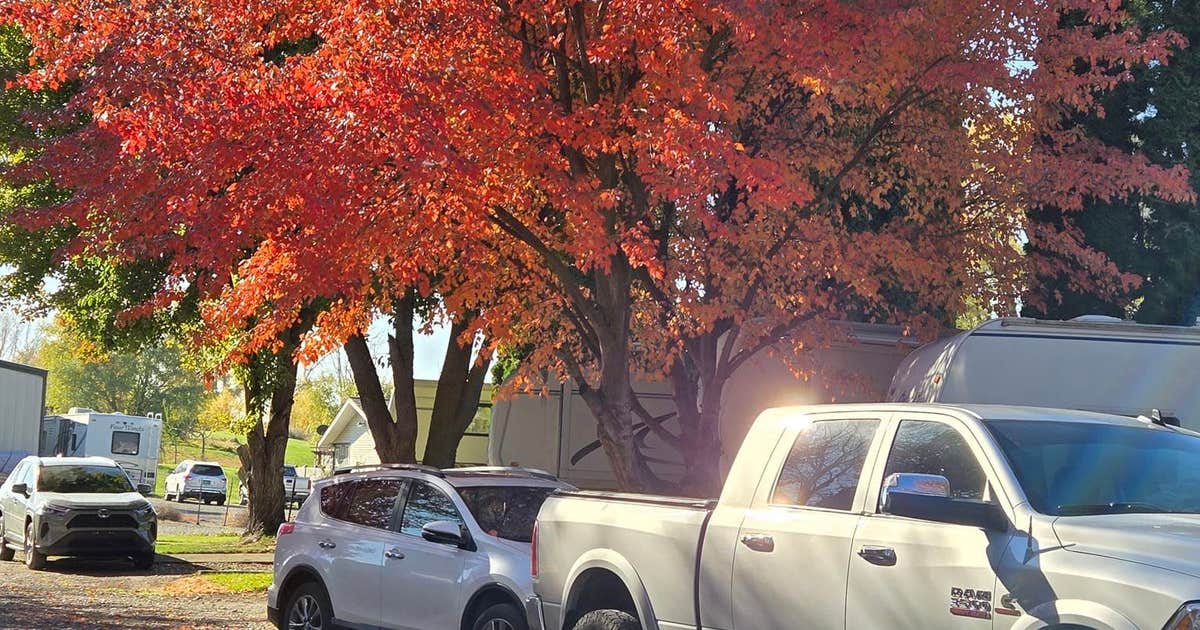 Camper-Submitted Photos of Oasis RV Park