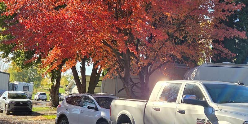 Camper submitted image from Oasis RV Park