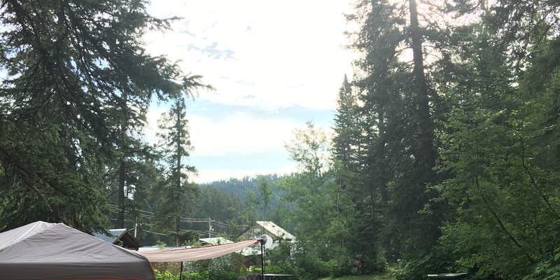 Camper submitted image from Whitetail Creek Resort