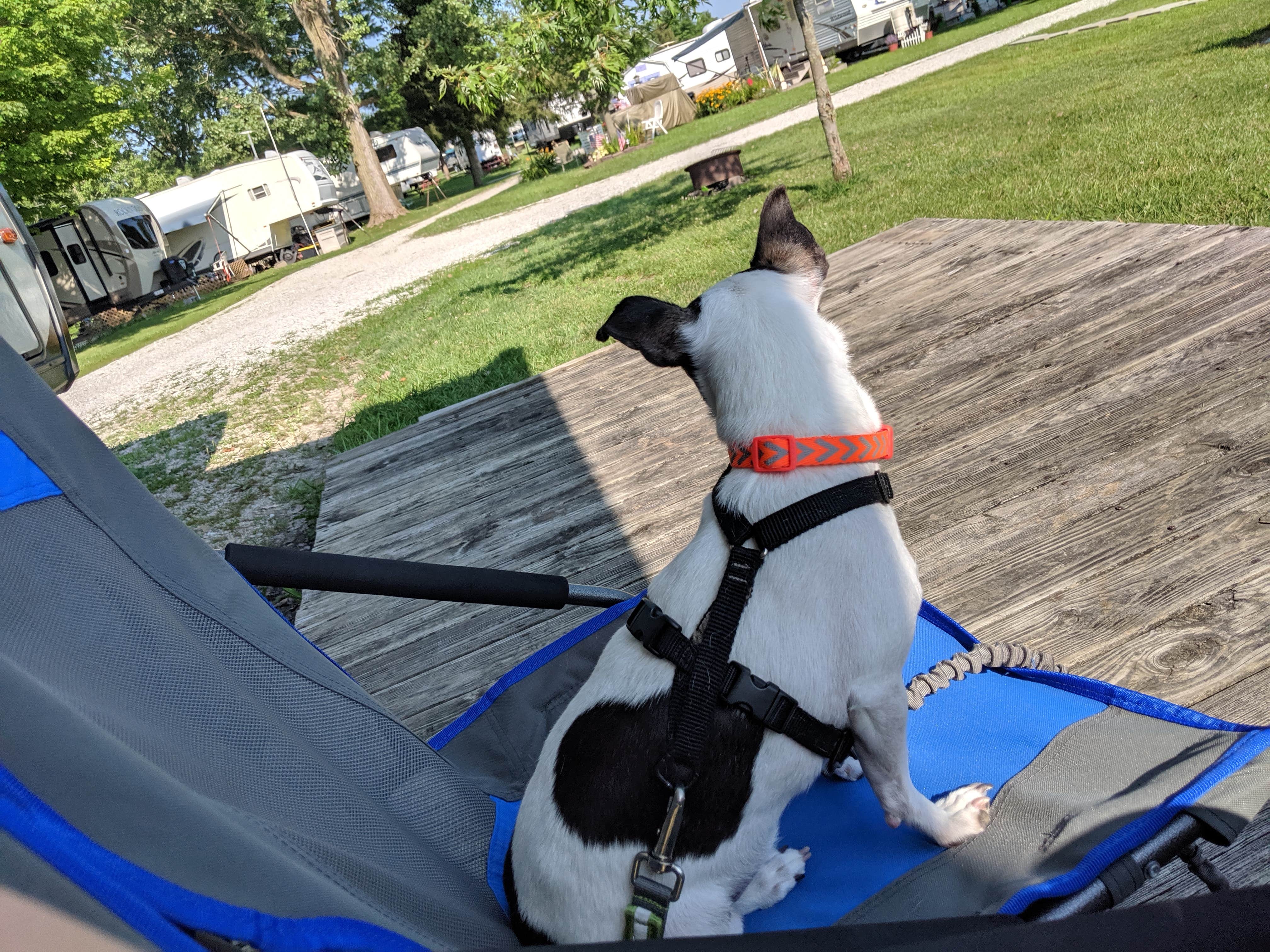 Camper-submitted photo at Wildwood Outdoor Escape near Union City, OH