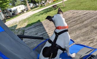 Sammii D.'s photo of camping with pets at Wildwood Outdoor Escape near New Castle, IN
