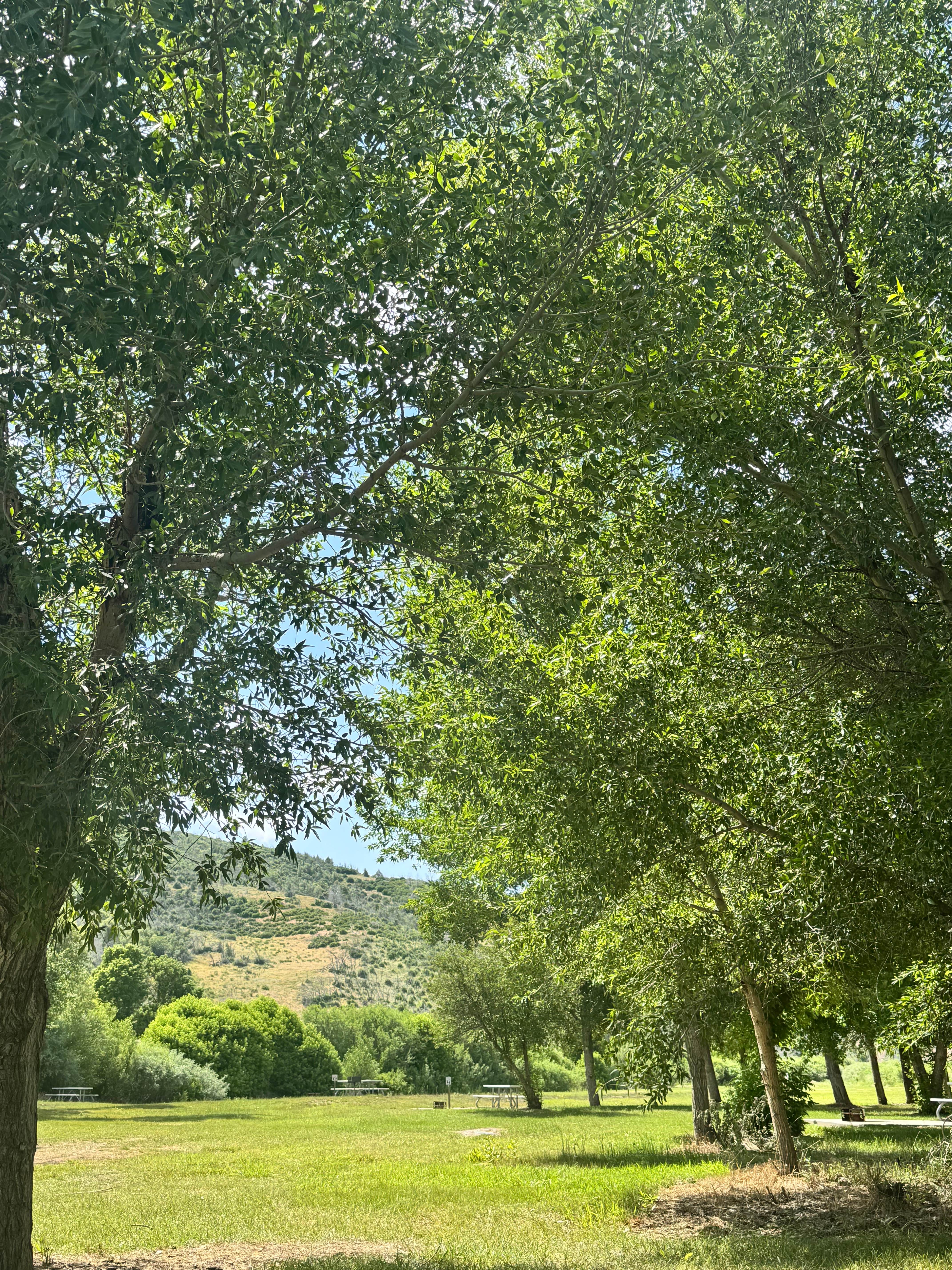 Camper-submitted photo at Spanish Fork River Park near Santaquin, UT
