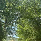 Review photo of Spanish Fork River Park by Necia S., July 2, 2025